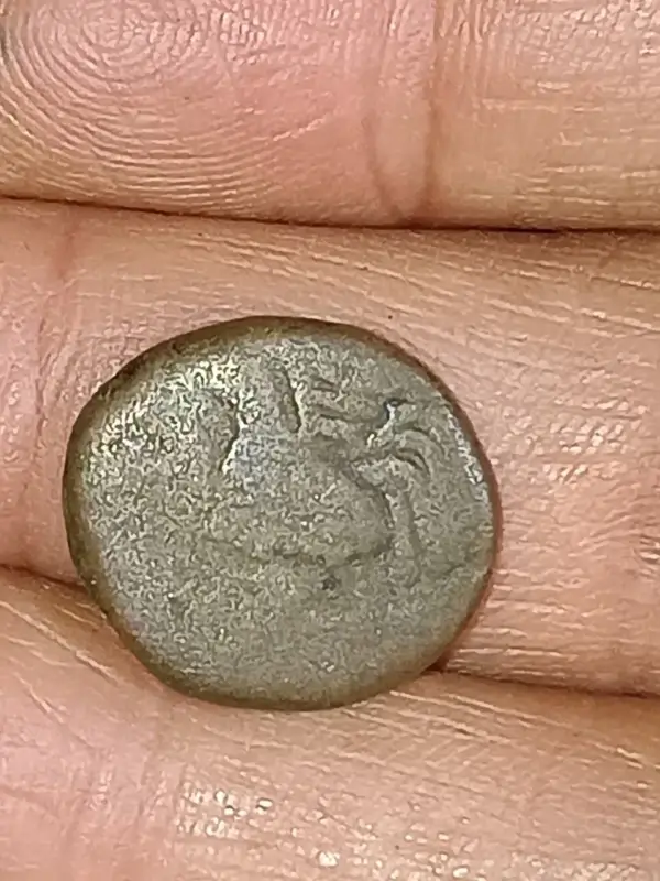 INDO FRENCH ROOSTER COPPER