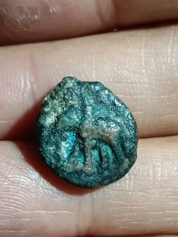 SUGNA DYNASTY COPPER REV- DIFFERENT